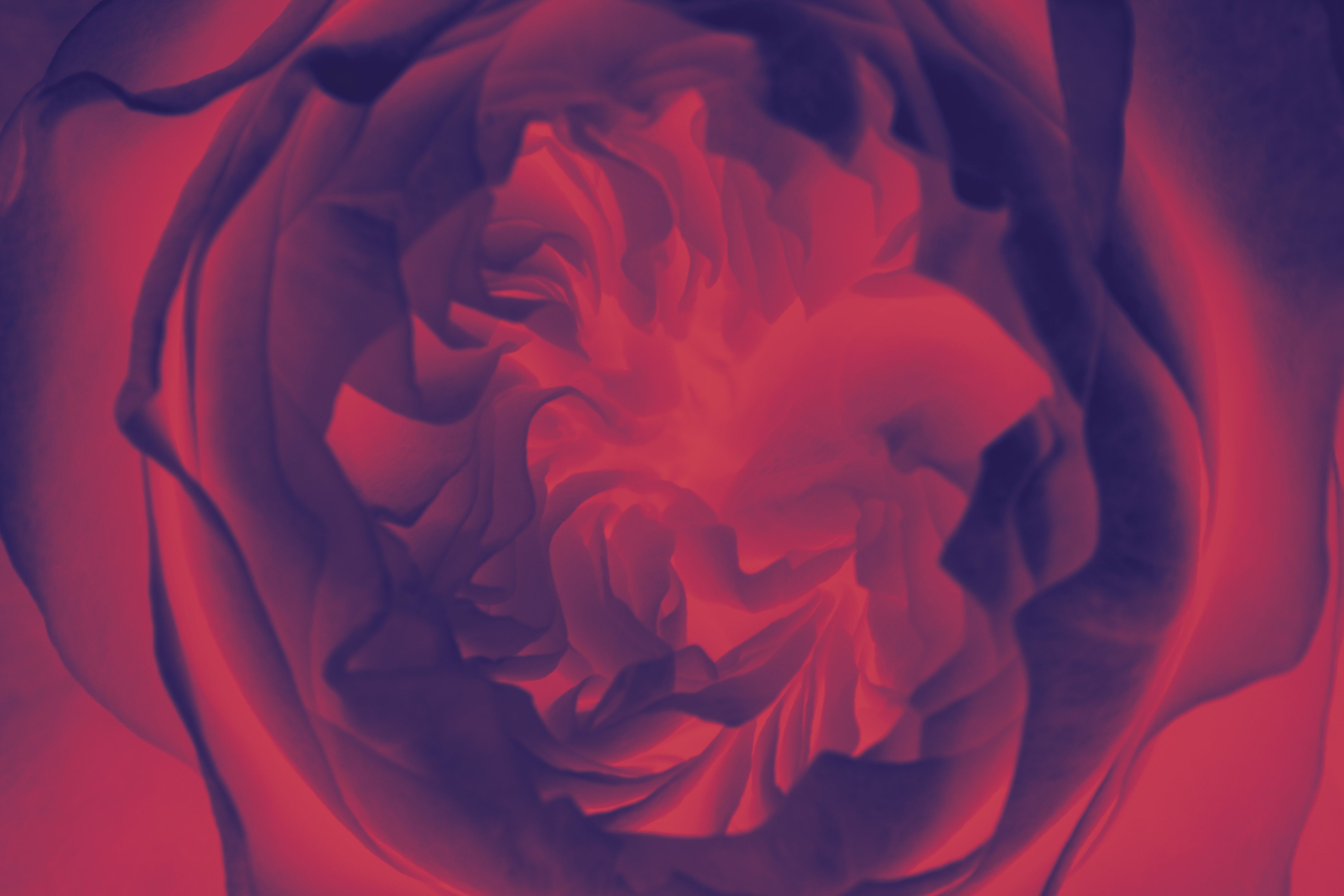 Veduta Académie de Lyon