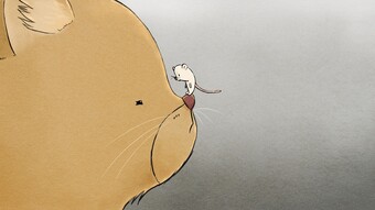 bd