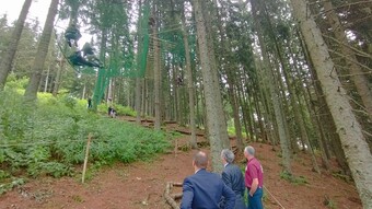 balade en forêt