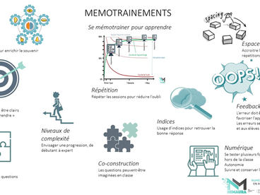 Infographie NEMAURA